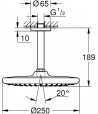 Palarie de dus cu brat, Grohe Tempesta 250, montare pe tavan, crom, 26669000 - 4
