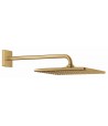 Palarie de dus cu brat, Grohe Rainshower Mono 310, montare pe perete, auriu periat, 26564GN0 - 2